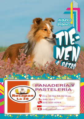 Almanaque Fauna Papel ¼ 